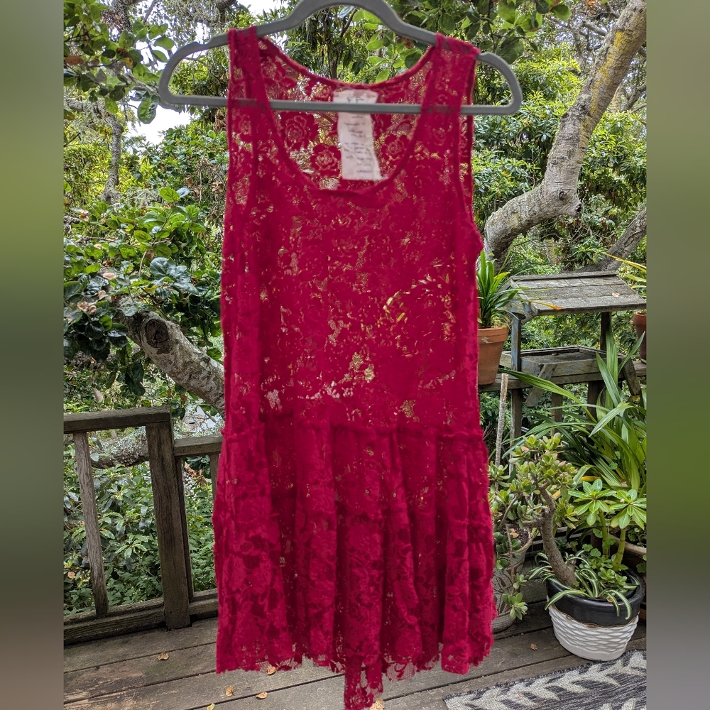 Free People Intimately Emily Sheer Lace Dark Red Floral Short Slip Dress